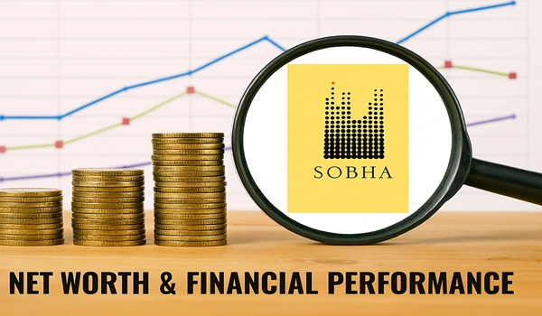 Net Worth and Financial Performance